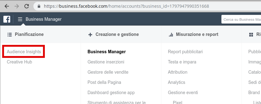 come accedere ad audience insight